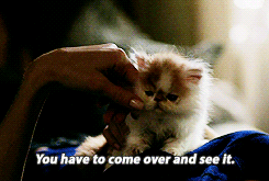 tumblr_n04qm86Pqm1sunajqo1_250