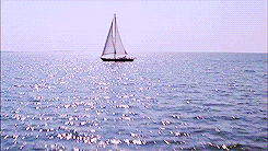 tumblr_mld1o6KmEd1rob81ao7_r1_250