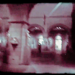 tumblr_n55h9xhOsR1sx3yq0o1_250