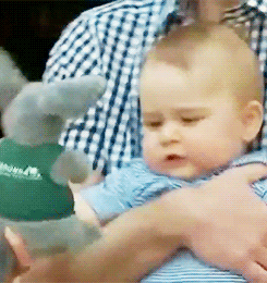 tumblr_n4cdq06Q7A1rssyvho1_250