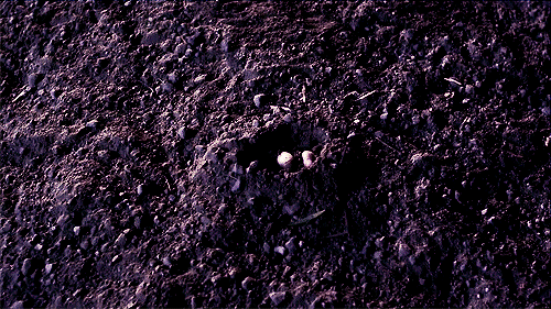 halloween-special-hand-in-the-dirt-pll