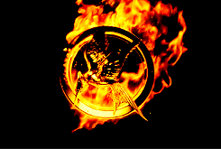 tumblr_mxgkf81P071qf2zyko1_250