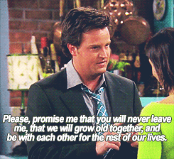 tumblr_mt10ghYhqv1qcu8s6o2_250