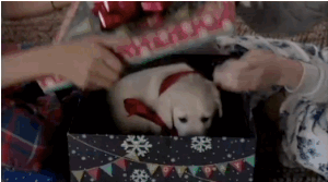 anigif_enhanced-7501-1422559570-3