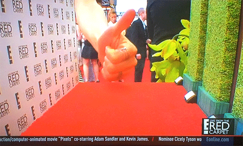 tumblr_nircm2uzgo1rgvfxho1_r1_500