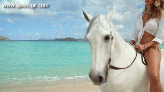 riding-a-horse-o