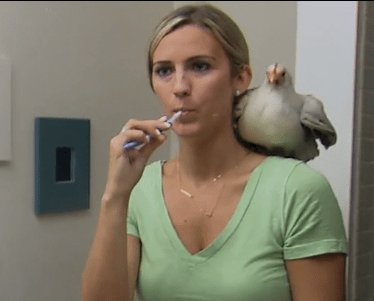 Screen Shot 2016-01-05 at 8.42.44 AM