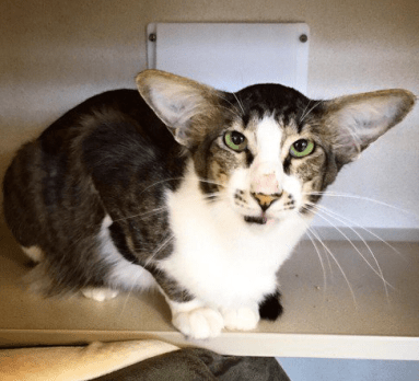 Screen Shot 2016-01-19 at 12.07.28 PM